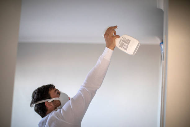 Best White Mold Remediation in Piru, CA