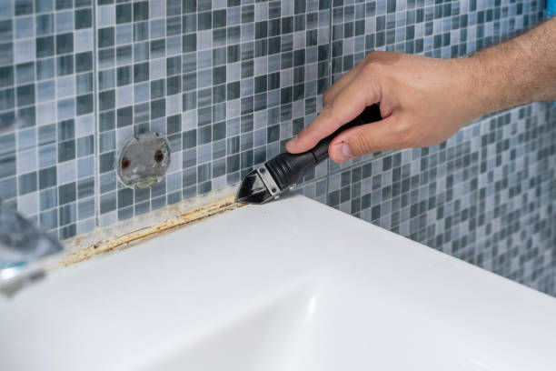 Best Black Mold Remediation in Piru, CA