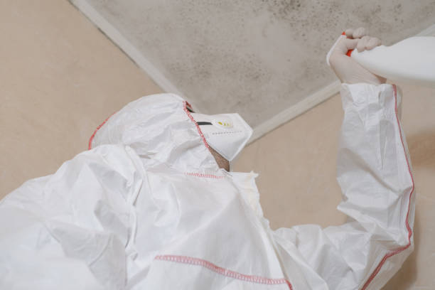 Piru, CA Mold Remediation Company